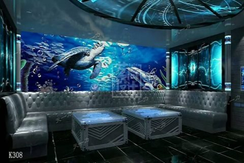 潍坊小时场ktv新鲜体验-安丘市ktv预定